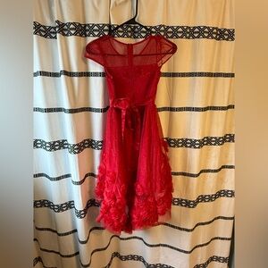 Beautiful red Christmas dress